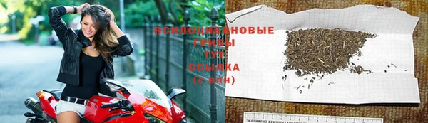 прущая мука Лабытнанги