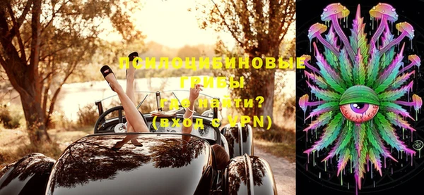 бошки Ладушкин